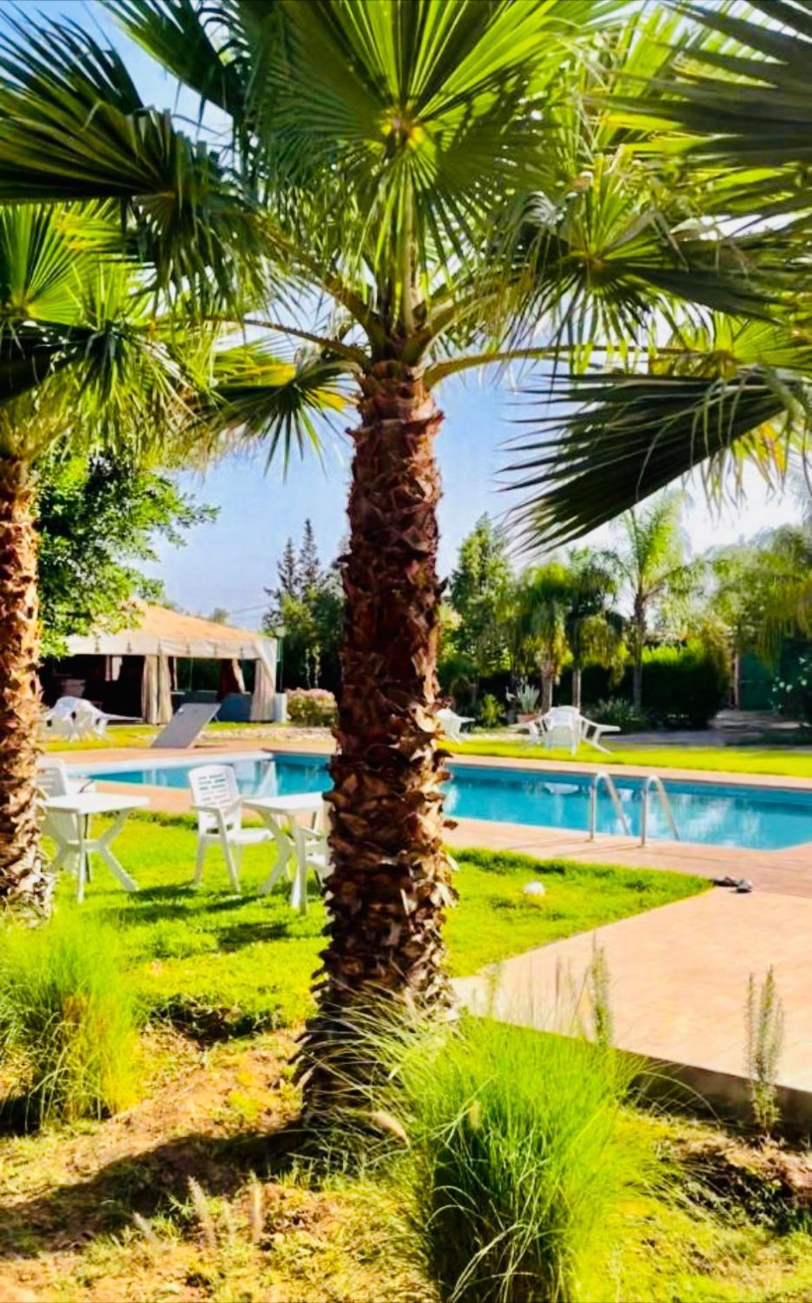 Villa Baddi Marrakech Lagouassem Екстериор снимка