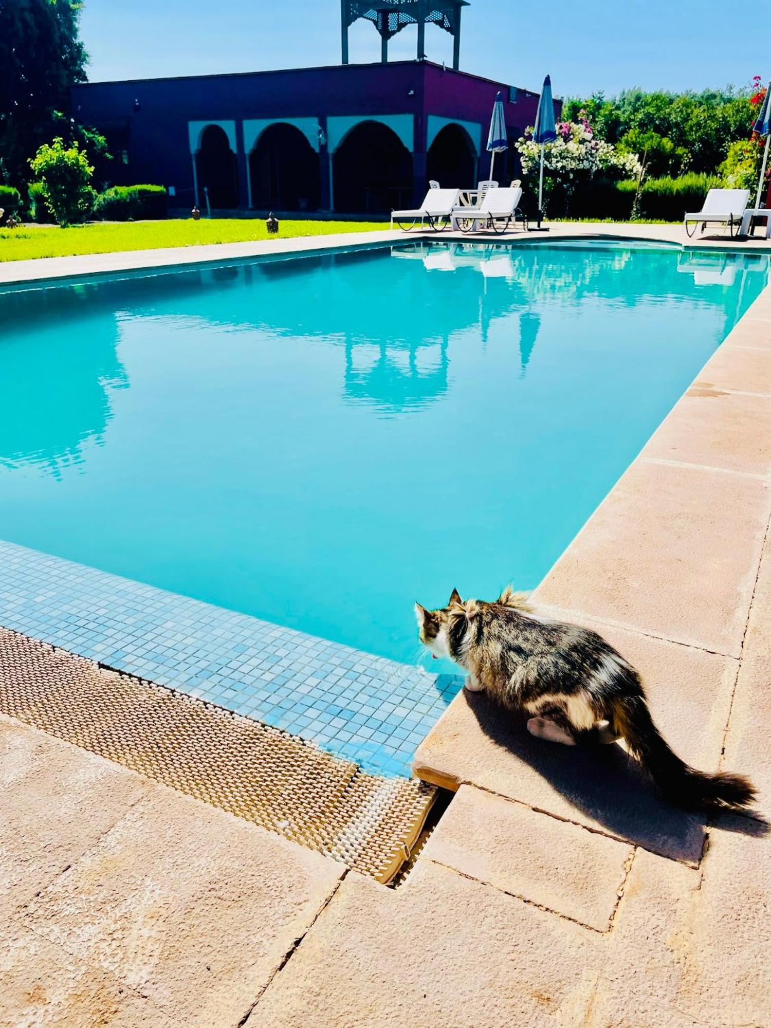 Villa Baddi Marrakech Lagouassem Екстериор снимка