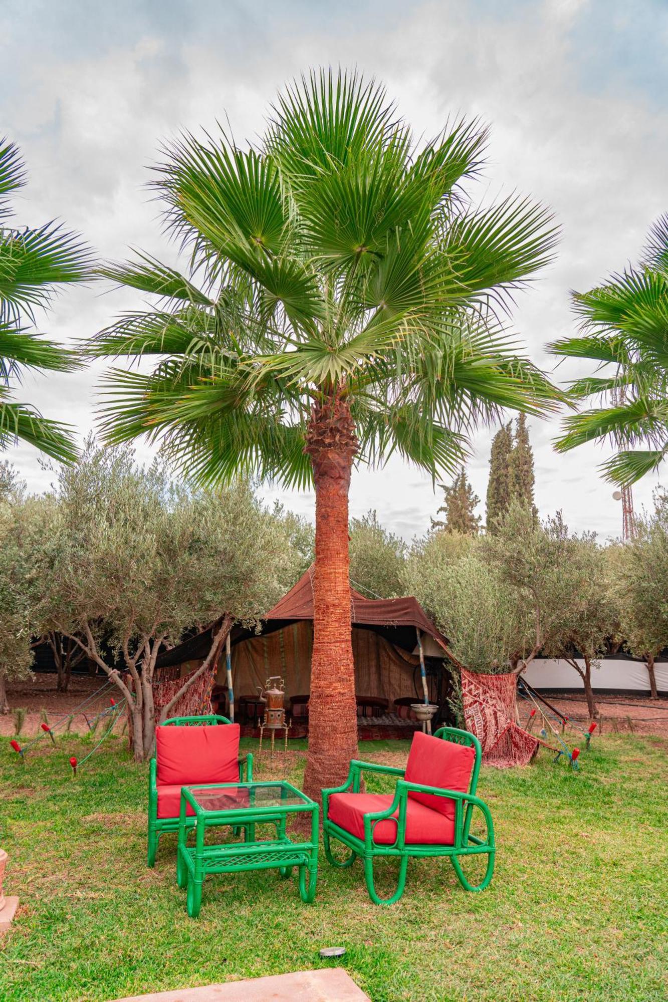 Villa Baddi Marrakech Lagouassem Екстериор снимка